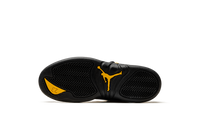 Air Jordan 12 PS Black Taxi 151186 071