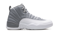 Air Jordan 12 Stealth CT8013 015