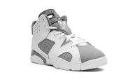 Air Jordan 6 PS Cool Grey DV3605 100