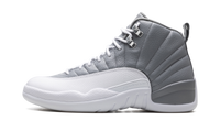 Air Jordan 12 Stealth CT8013 015
