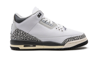 Air Jordan 3 GS Hide N Sneak DX6665 100