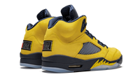 Air Jordan 5 Retro SE Michigan CQ9541 704