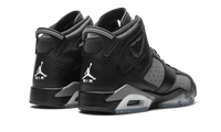 Air Jordan 6 Retro GS Cool Grey 384665 010