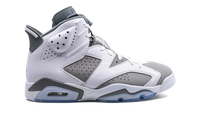 Air Jordan 6 Cool Grey CT8529 100