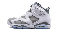 Air Jordan 6 Cool Grey CT8529 100