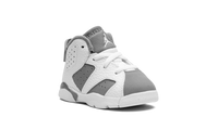 Air Jordan 6 TD Cool Grey DV3606 100