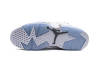 Air Jordan 6 Cool Grey CT8529 100