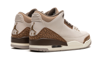 Air Jordan 3 Palomino CT8532 102