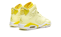 Air Jordan 6 GS Citron Tint / Floral 543390 800