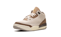 Air Jordan 3 PS Palomino DM0966 102