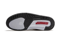Air Jordan 3 Retro Cool Grey CT8532 012