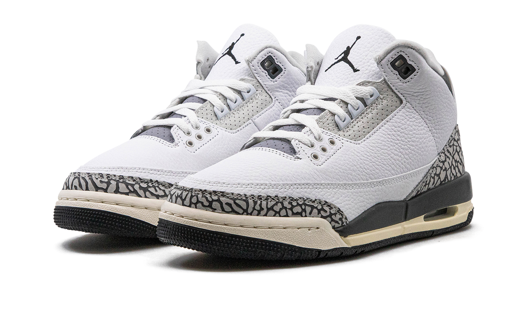 Air Jordan 3 GS Hide N Sneak DX6665 100