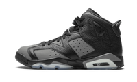 Air Jordan 6 Retro GS Cool Grey 384665 010