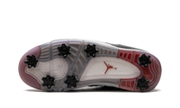 Air Jordan 4 Golf Bred CU9981 002