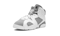 Air Jordan 6 PS Cool Grey DV3605 100